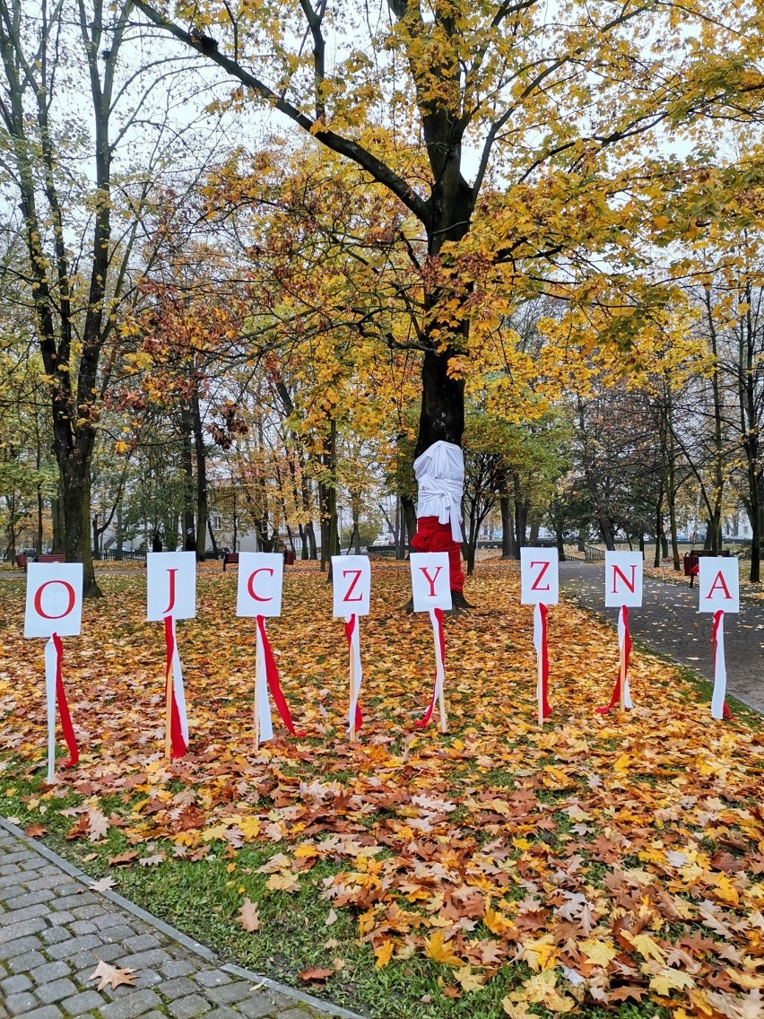 Święto Niepodległości 2020 w Wieluniu. Park im. Żwirki i Wigury w biało-czerwonych barwach ZDJĘCIA