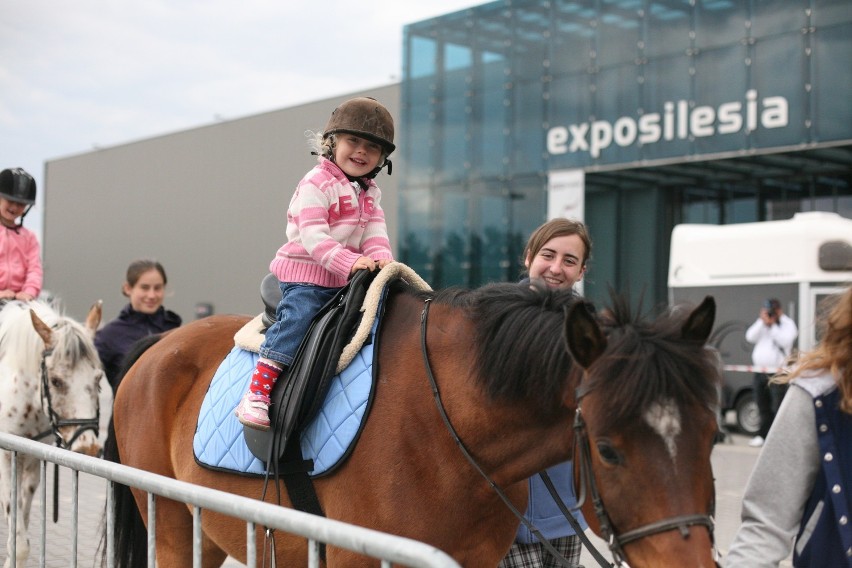 Expo Silesia: Targi Weterynaryjne 2013 [ZDJĘCIA]