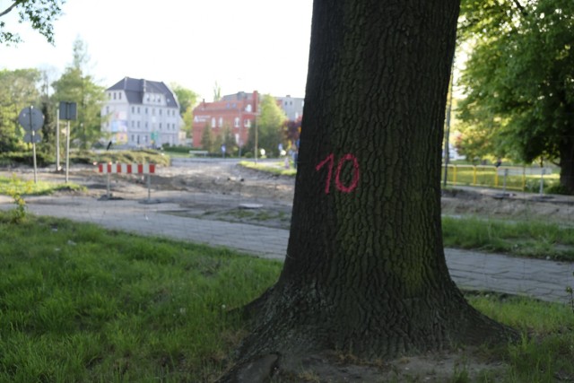 Mieszkańcy Żar podpisują petycją w sprawie wycinki drzew przy Placu Konstytucji 3 Maja.