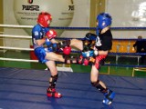 II Turniej w Boksie i Kickboxingu Kadetów i Juniorów im. Tadeusza Pietrzykowskego. Zobacz zdjęcia