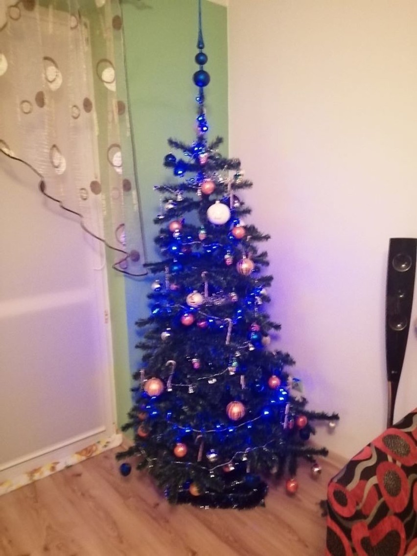 Choinki Czytelników portalu kwidzyn.naszemiasto.pl. Jak wygląda Twoje świąteczne drzewko? Czekamy na zdjęcia! 