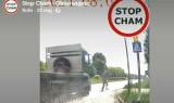 Centymetry od tragedii! Dramatyczne nagranie z przejścia dla pieszych w Radomiu