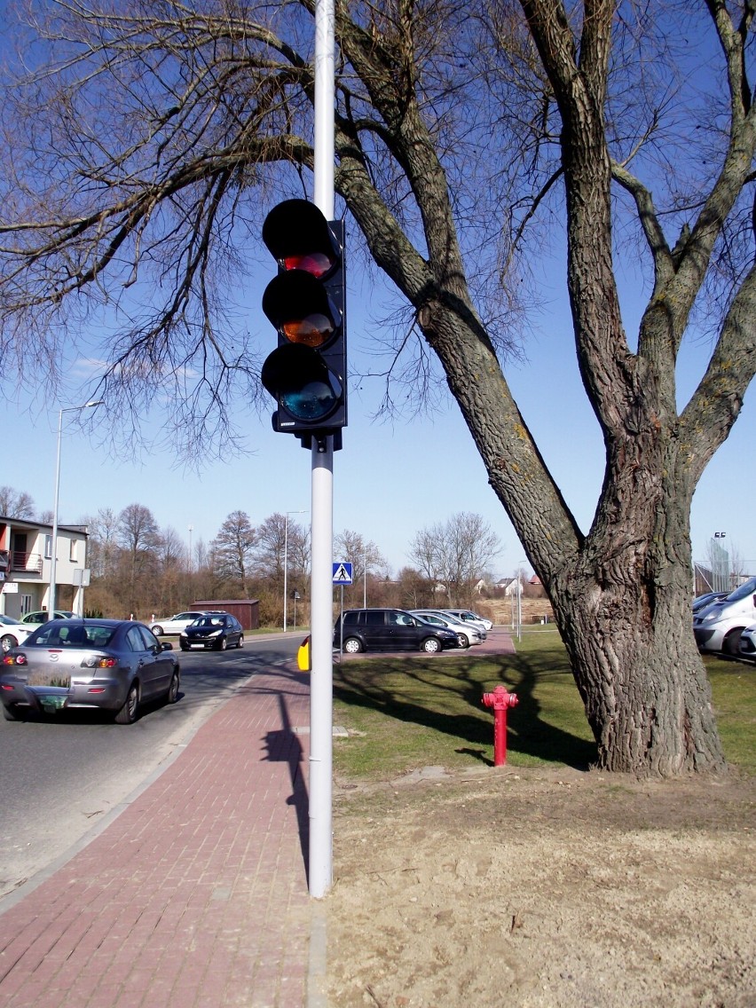 Czerwone, żółte, zielone... Sygnalizacja świetlna na ulicy -...