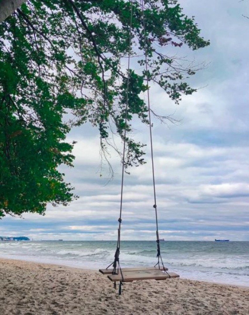 Huśtawka na plaży w Redłowie.