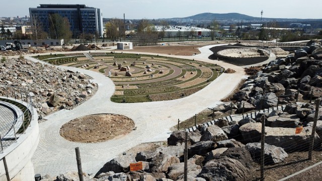 Na niedzielę, 28 kwietnia zaplanowano otwarcie Ogrodu Botanicznego po zimowej przerwie. Na zwiedzających czeka moc atrakcji.

Budowa południowej części Ogrodu Botanicznego trwała całą zimę. Powstały trzy zbiorniki wodne wyposażone w kładki, mola i podesty oraz wodospad. – W każdym zbiorniku są trzy poziomy głębokości - 50, 100 i 150 centymetrów, a w jednym jest 5 centymetrowa płycizna.  Takie zróżnicowanie dna jest związane z wymaganiami roślin, które zostaną tam posadzone – mówi Katarzyna Socha, kierownik Ogrodu Botanicznego. – Oczka są gotowe. W maju zaczniemy wpuszczać wodę ( na razie jest w nich tylko opadowa), ale nie do pełna. Na początek wypełni ona 2/3 głębokości zbiorników, aby móc posadziliśmy rośliny. Będziemy je  umieszczać w specjalnych koszach, aby nadmiernie się nie rozrosły. Potem dolejemy wody do pełna. 

Tę część Ogrodu będzie można oglądać dopiero we wrześniu, ponieważ trzeba jeszcze  rozstrzygnąć przetarg na zagospodarowanie  terenu wokół oczek. W ich pobliżu powstaną dwa ogrody: japoński i orientalny a także  taras widokowy. 
Natomiast od niedzieli, 28 kwietnia będzie można oglądać północną część  Ogrodu, która była dostępna także w ubiegłym sezonie. – Na ten dzień przygotowaliśmy mnóstwo atrakcji. Będą pokazy  sokolnicze o godzinie 11 i 15, trwające około godzinę. Sokolnicy przywiozą cztery ptaki, sowę, puchacza, sokoła i jastrzębia – dodaje. - Po pokazie będzie można wziąć ptaka na rękę czy zrobić z nim zdjęcie. - W ramach biletu, bez dodatkowej opłaty proponujemy zwiedzanie Ogrodu z przewodnikiem. Wejścia dla zainteresowanych będą o każdej parzystej godzinie: 10, 12, 14 i 16. Będzie też kiermasz roślin ogrodniczych a dla dzieci gry i zabawy manualne i plastyczne. Zapewnimy stoiska z napojami, lodami i ciastkami.


 Na terenie tej części Ogrodu pojawiły się tablice informujące o oglądanych miejscach, więc łatwiej będzie samodzielnie zwiedzać Ogród. Ustawiono gry edukacyjne. Powstało też miejsce do hortiterapii, czyli terapii ogrodem. - Prace w ogrodzie, kontakt z roślinami pod okiem terapeuty może pomóc osobom cierpiącym na różne choroby, na przykład na autyzm czy po wylewach- tłumaczy.  
Ogród będzie czynny od czwartku do niedzieli w godzinach 10-18,  kasa będzie otwarta do 17 godziny. Bilety w cenie 5 złotych, ulgowe 2 złote.   

