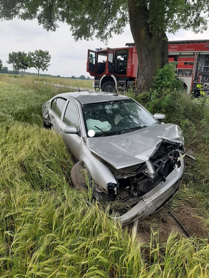 Auto osobowe uderzyło w drzewa na drodze Sąpolno - Nowa Wieś
