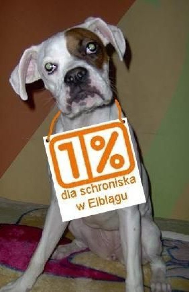 1% DLA SCHRONISKA