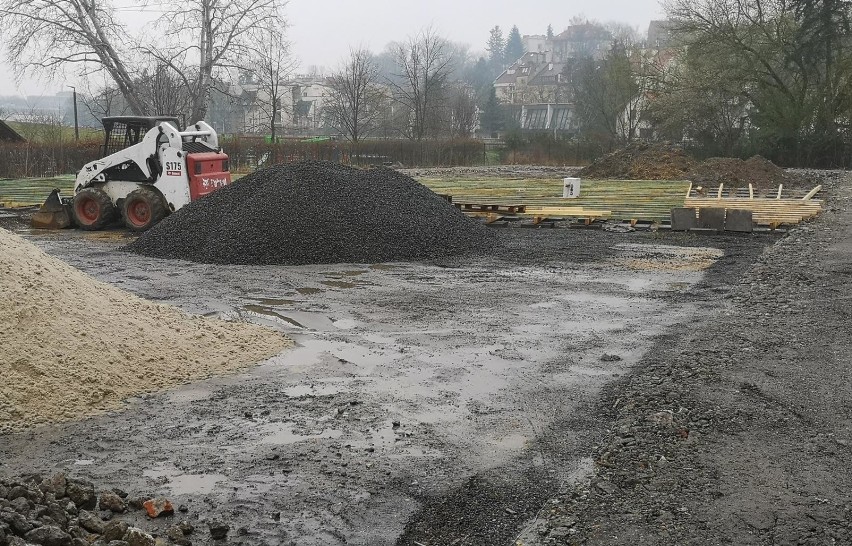 Kraków. Powstaje tropikalna dżungla w sercu Krakowa. Bezogródek w nowym miejscu [ZDJĘCIA]