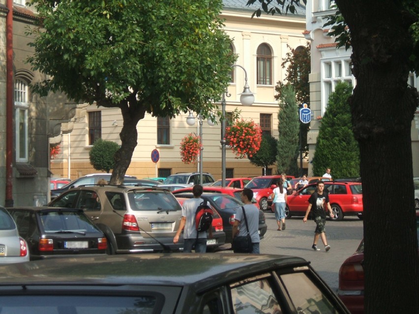 Trwa Dzień bez Samochodu w Rzeszowie