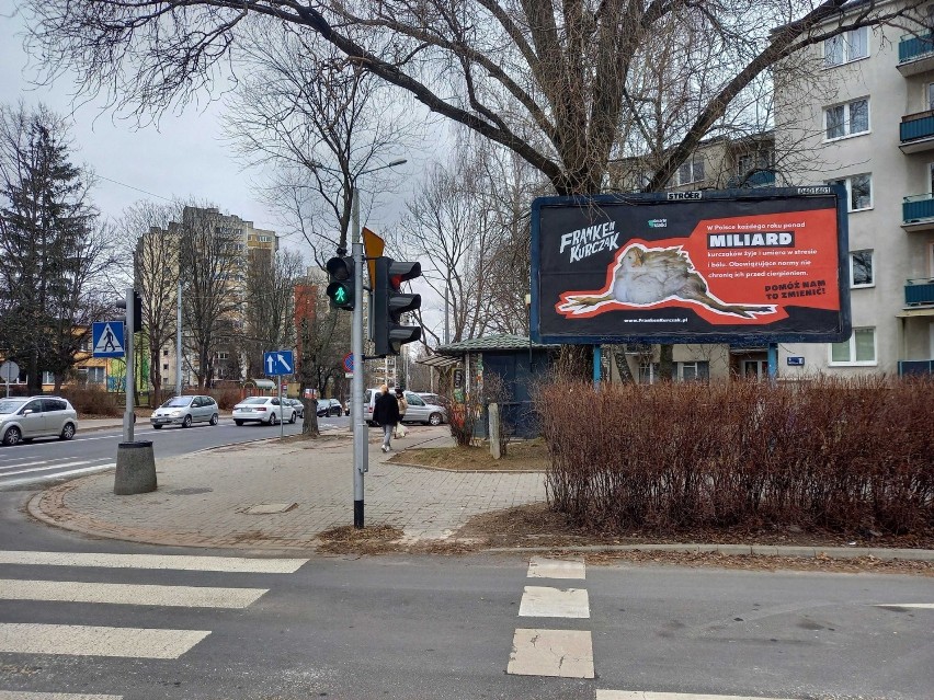  Nietypowe billboardy pojawiły się na ulicach Lublina