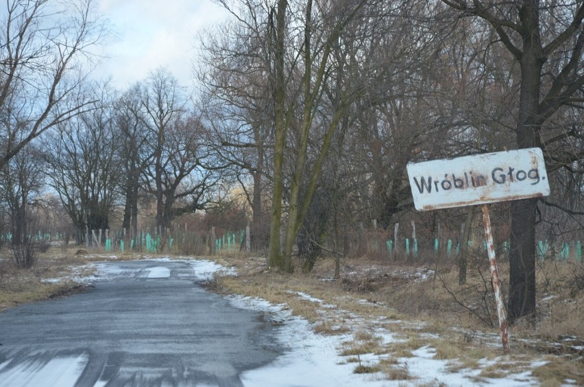 Wróblin Głogowski - tyle zostało z dawnej wsi koło huty. Nawet byli mieszkańcy już tam rzadko zaglądają