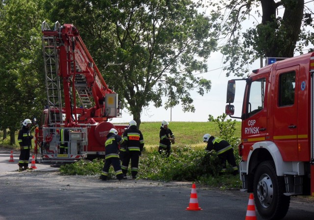 W sobotę ochotnicy z Ryńska i strażacy zawodowi m.in. porządkowali  konary drzew, które niebezpiecznie zwisały nad linią energetyczną w Ryńsku