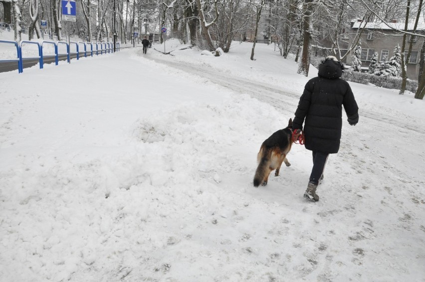 Intensywne opady śniegu na Kaszubach - wczoraj sypało dziś będzie wiało