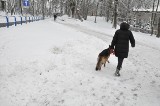 Intensywne opady śniegu na Kaszubach - wczoraj sypało dziś będzie wiało
