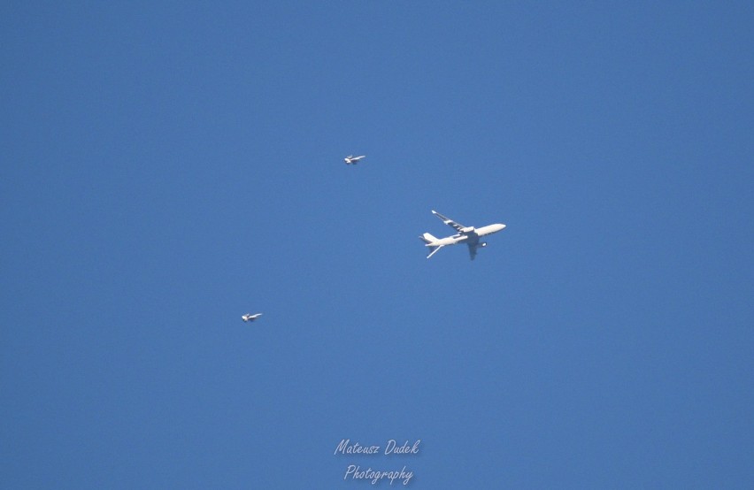 Amerykańskie samoloty wojskowe nad Świętokrzyskiem! Dużo F16 i tankowanie w powietrzu. Zobaczcie zdjęcia