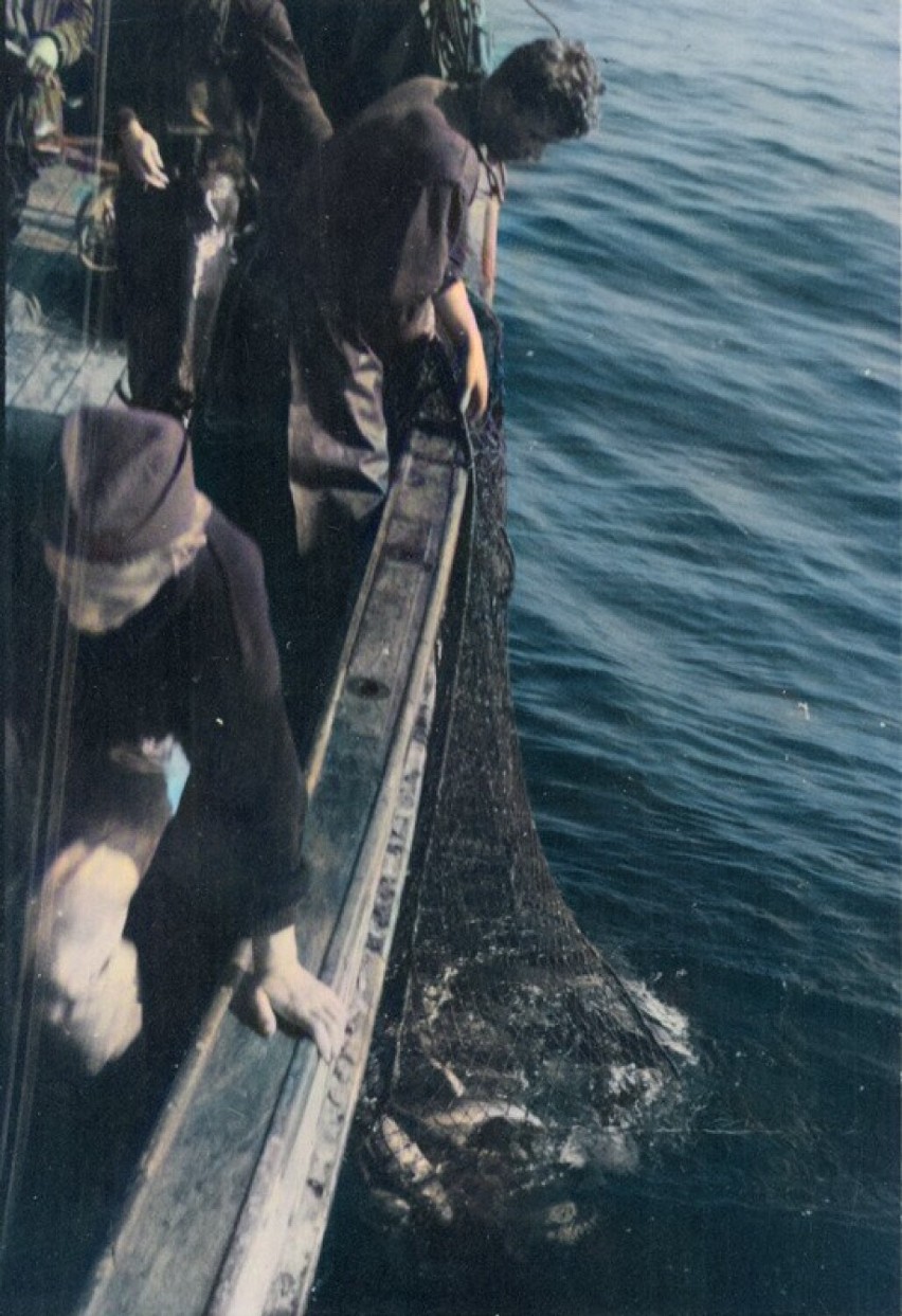 Rybacy podczas wyciągania sieci na pokład kutra.