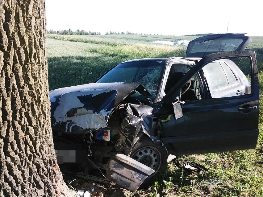 Wypadek w Gardei. 25-letni kierowca podróż zakończył na drzewie [ZDJĘCIA]