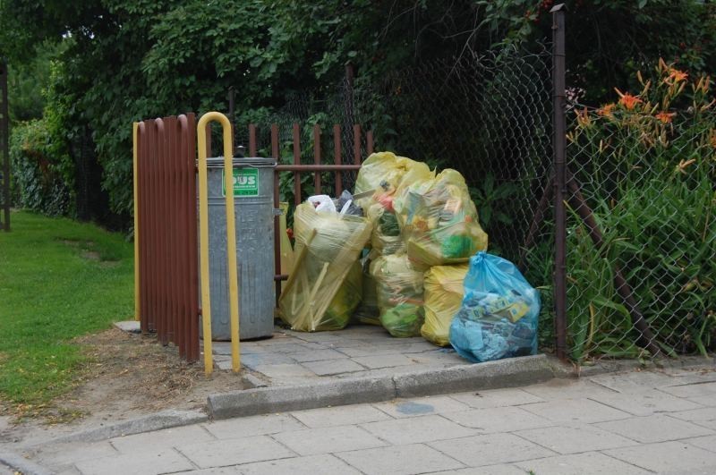 Blog Rafała Cybulskiego * - Śmieciowa rewolucja, most i cuda na sesji