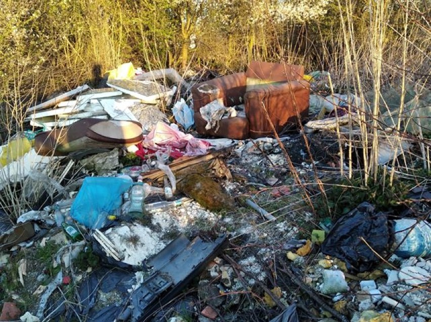 Kolejne nielegalnie porzucone odpady w powiecie nowodworskim