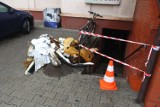 Poznań: Pożar piwnicy w hotelu na Dębcu. Jedna osoba została poparzona [ZDJĘCIA]