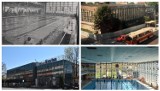 Pływalnia "Akwarium" w Opolu świętuje 60. urodziny. Uczczono je zawodami pływackimi, grami i zabawami oraz wystawą zdjęć