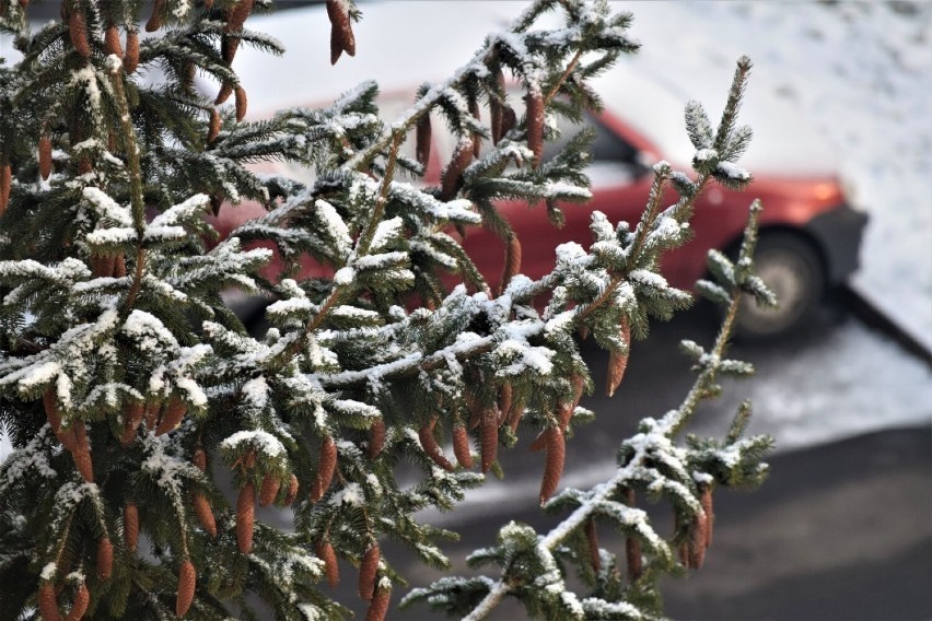 Pierwszy atak zimy już w ten weekend? Łowcy Burz prognozują opady śniegu INFOGRAFIKI