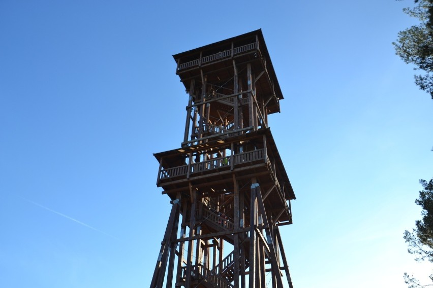 Wieża widokowa Joanna to drewniana konstrukcja o wysokości...