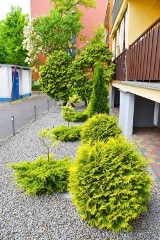 Ostatnie dni na zgłoszenia do konkursu na najpiękniejszy ogród ogłoszono w Łowiczu. Kto może wziąć w nim udział?