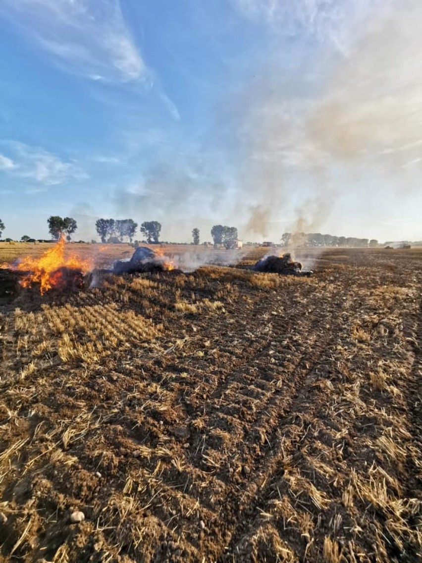 Straż pożarna otrzymała zgłoszenie o pożarze 10 hektarów pola pod Mieściskiem