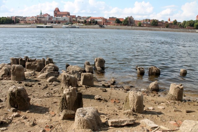 Podczas wielkiej suszy w 2015 roku poziom wody w Wiśle spadł w Toruniu poniżej metra, co było absolutnym rekordem od 300 lat, odkąd w mieście są prowadzone pomiary. Na Kępie Bazarowej woda odsłoniła m.in. pozostałości dawnego mostu i przystani.

Zobacz także: Strefa kibica w Toruniu. Kiedy otwarcie dla kibiców? [PLAN TRANSMISJI MECZÓW - 14.06.2018]

W czwartek wodowskazy mogą pokazać 60 centymetrów, jednak zrobią to wieczorem, najprawdopodobniej między godz. 22 i 23.

Nawet podczas suszy w 2015 roku poziom wody w rzece w Toruniu spadł poniżej metra i to był absolutny rekord od czasu, gdy w XVIII wieku zaczęto prowadzić pomiary.

Zobacz także: Weekend w Toruniu. Kolejne imprezy w Bajka Disco Club za nami! Zobaczcie zdjęcia! [GALERIA]

Co taki niski poziom Wisły oznacza? Czego można się spodziewać? 
 
Rzeka odsłoni znajdujące się na jej dnie skarby, które jednak należy oglądać z brzegów, ponieważ po zakończeniu prac przy zaporze, woda będzie szybko przybierać. Wspomninae skarby można obejrzeć w naszej galerii. 

Z dużym niepokojem na to wszystko spoglądają ekolodzy.
-&nbsp;Dopiero co zatopili ptasie gniazda, bo musieli zwiększyć zrzut, aby przepuścić barkę, a teraz zmarnują żyjące w Wiśle ryby - mówi jeden z nich.
-&nbsp;Czterogodzinne wstrzymanie przepływu nie zaburza życia biologicznego w rzece. To wynika z analiz, jakie były prowadzone przy przygotowywaniu instrukcji gospodarowania wodą na SW Włocławek - zapewnia Urszula Tomoń, rzeczniczka RZGW w Warszawie. 

W czwartek zamkną zaporę we Włocławku. Wisła w Toruniu będzie płytka jak nigdy dotąd! [ZDJĘCIA]