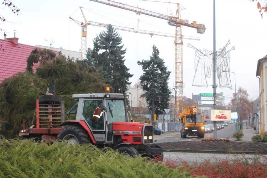 Choinka na wolsztyńskim rynku