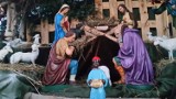 Bożonarodzeniowe szopki w Wodzisawiu ZOBACZCIE ZDJĘCIA z kościołów