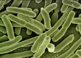 W wodociągu Janowo wykryto bakterie coli. Sanepid ostrzega