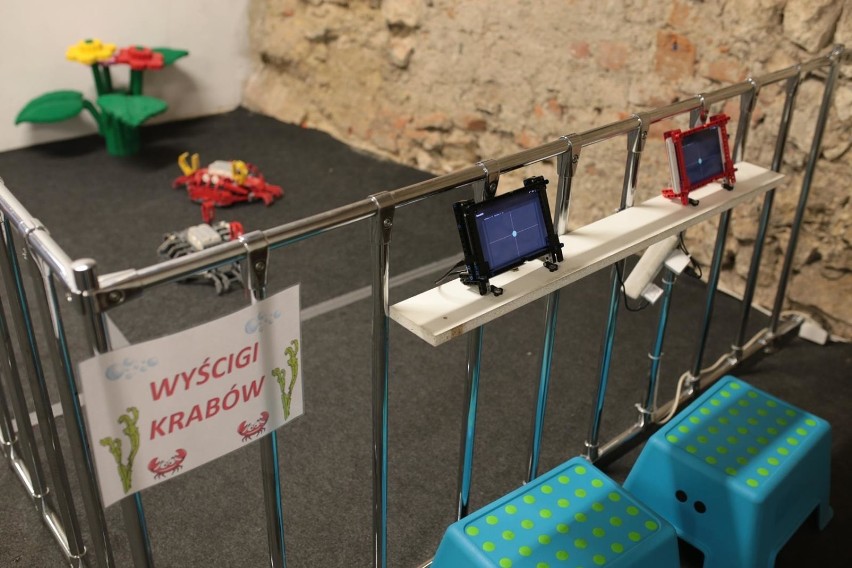 Kraków. Wystawa robotów z klocków LEGO na Mikołajskiej [ZDJĘCIA] 