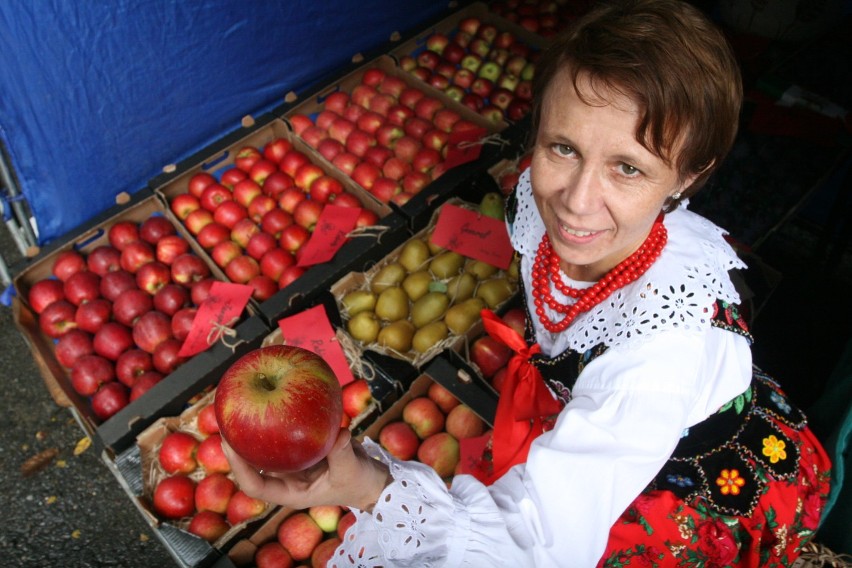 Owocobranie - radość z plonów i smutek z rosyjskiego embarga [FOTO]