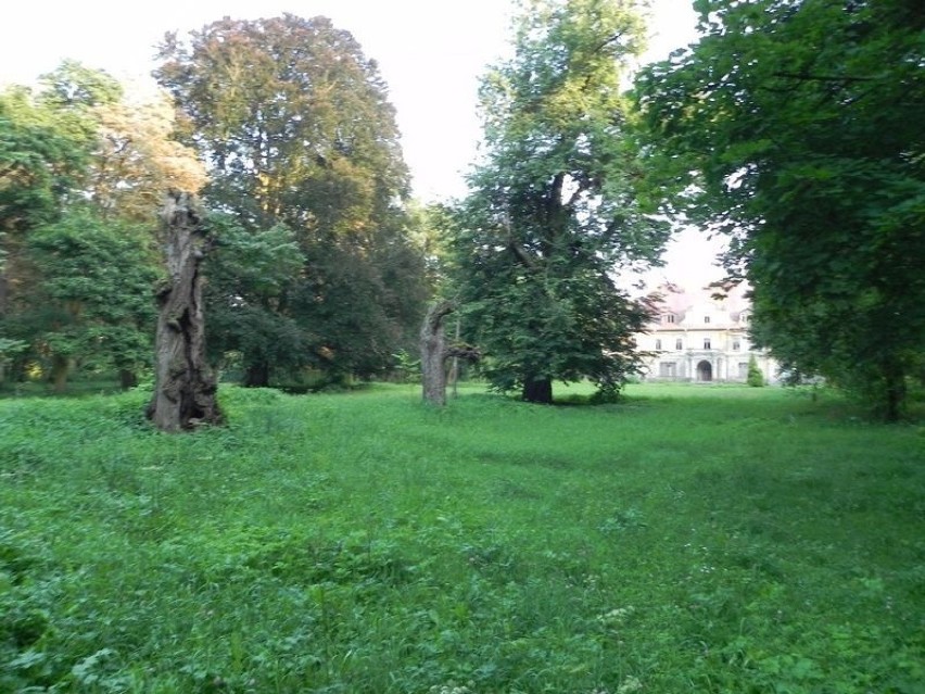 Wieś Bałtów leży 12 kilometrów na północny wschód od...