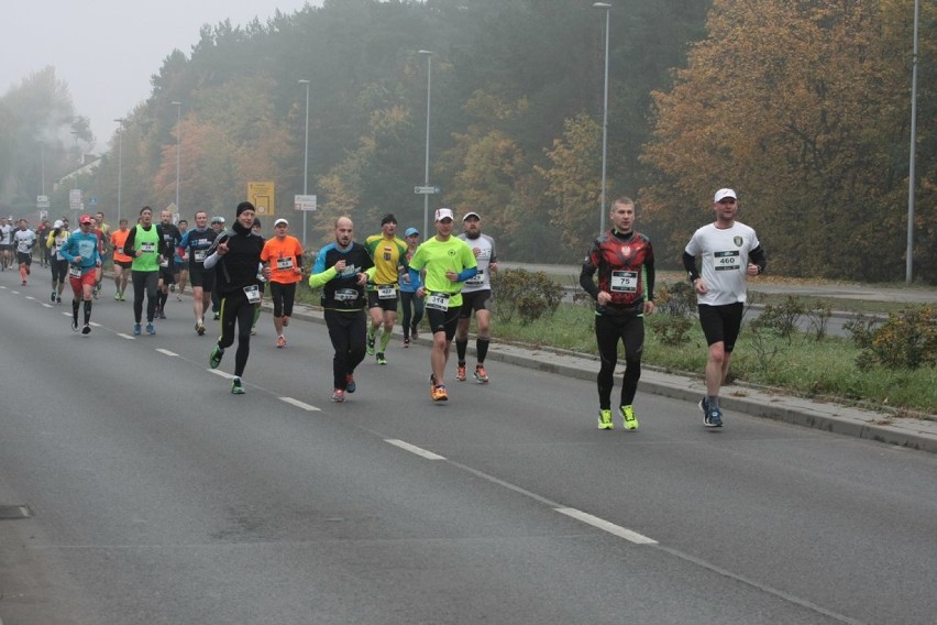 33. Toruń Marathon. Tak było na trasie [ZDJĘCIA cz.2]