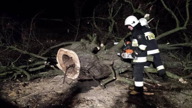 W nocy z 10 na 11 stycznia strażacy z OSP Reda interweniowali 14 razy. Główne zdarzenia to: powalone na jezdnię drzewa, zerwane linie wysokiego napięcia oraz inne miejscowe zagrożenia.