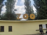 Warszawskie zoo. Dla nich warto odwiedzić to miejsce