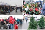 Na Pchlim Targu świąteczny klimat - choinki, stroiki, lampki [zdjęcia, ceny, 27 listopada 2022]