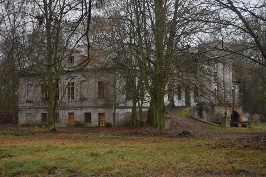 Zespół pałacowy w Grodźcu stoi dziś w ruinie. Przy nim prywatny park, a w nim kilkusetletnie drzewa [ZDJĘCIA]