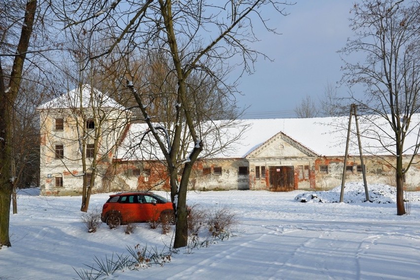 Stalowa Wola. Park księcia Lubomirskiego w zimowej szacie idealnym miejscem do spacerów [ZDJĘCIA]
