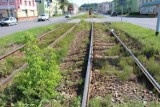 W Dąbrowie Górniczej przebudują 5-kilometrowe torowisko tramwajowe, będą wspólne przystanki z autobusami. Kiedy początek prac? 