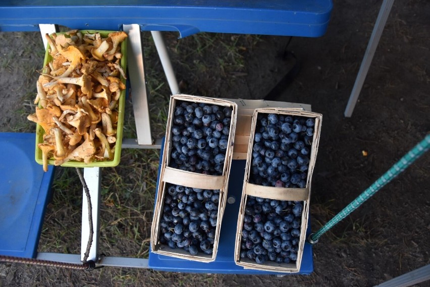 Grzybobranie w Kartuskiem trwa, a ceny grzybów nie szokują tak, jak w innych rejonach kraju 