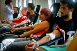 Region wałbrzyski: Gdzie w lipcu można oddać krew?