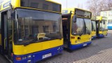 Kaliskie Linie Autobusowe wystawiły na sprzedaż... autobusy