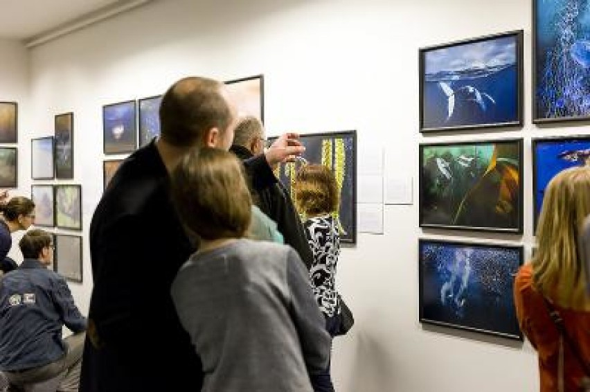 Wystawa dzikiej przyrody 2016 w Bielsku-Białej przyciągnęła ponad 8 tys. widzów
