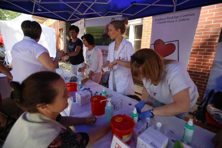 Zabrze: Piknik Pokoleń z okazji 70-lecia Śląskiego Uniwersytetu Medycznego [ZDJĘCIA]