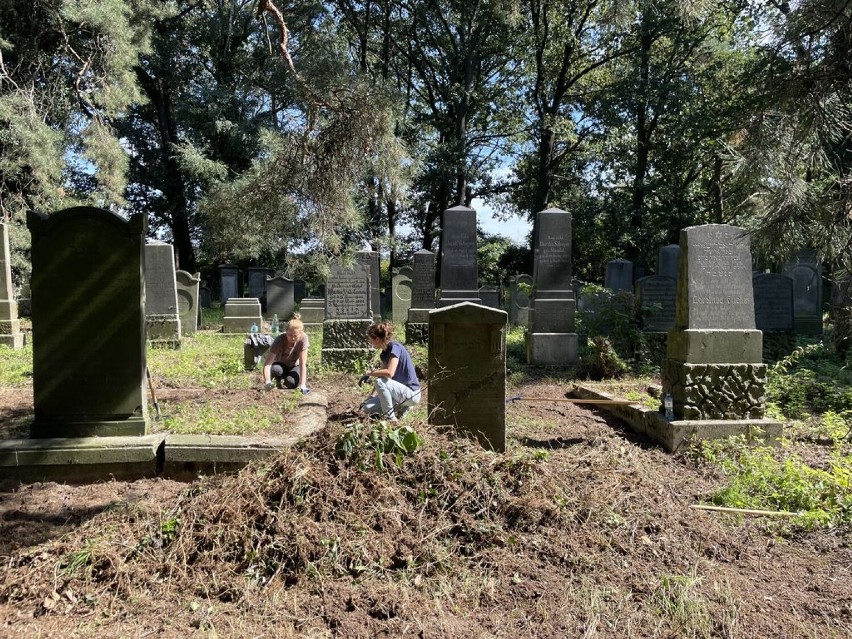 Prace porządkowe na żydowskiej nekropoli w Koźminie Wlkp. dobiegły końca [FOTO] 