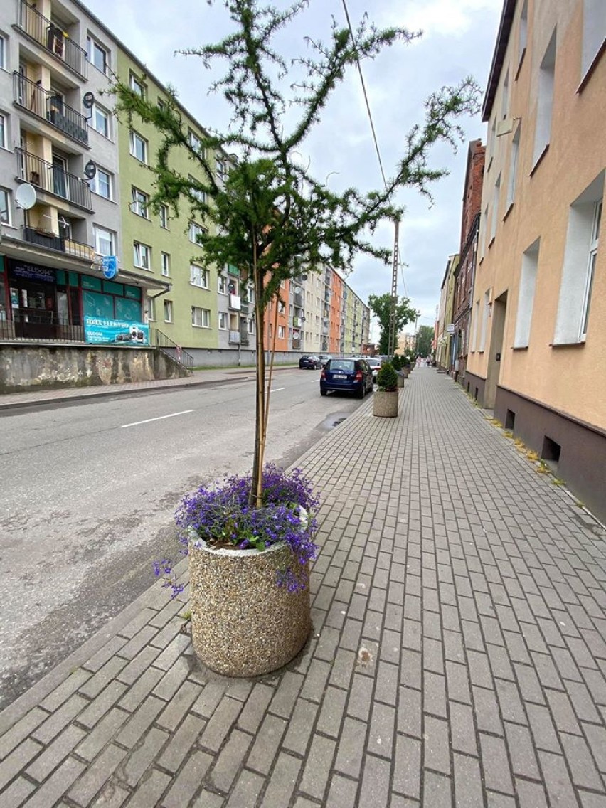 Nowy Dwór Gdański: nowe donice z roślinami na ulicy Obrońców Westerplatte